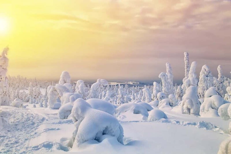 Rovaniemi: Full-Day Highlights Tour with Buffet Lunch - Should you book this tour?