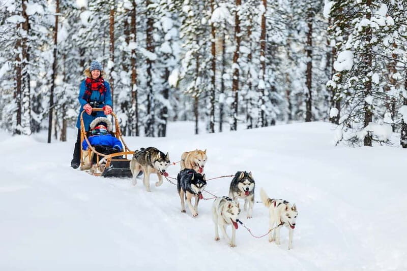 Rovaniemi: Full-Day Highlights Tour with Buffet Lunch - Santa Claus Village: meet Santa, use the post office, and get the stamp