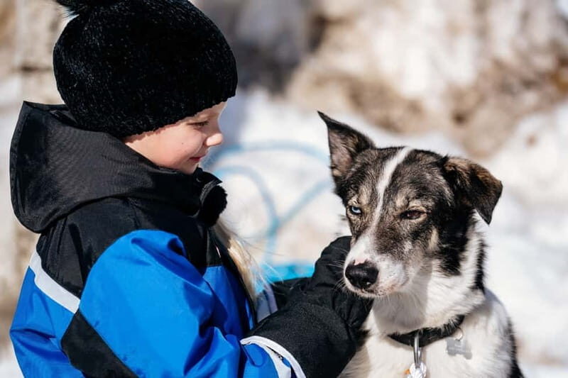 Rovaniemi: Full-Day Snow and Fun Activities - A Family Snow Day in Lapland That Packs a Lot Into 4 Hours