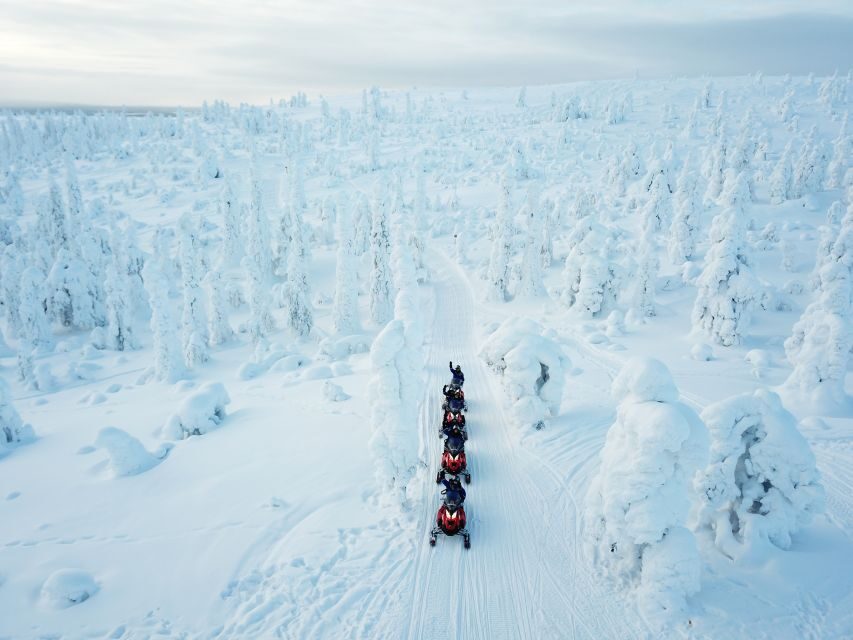 Rovaniemi: Full-Day Snowmobile Safari into the Wilderness - Rovaniemi Meets Lapland’s Backwoods: What This 6-Hour Safari Is Like