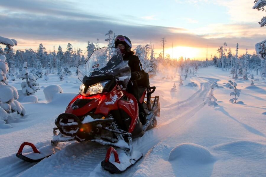 Rovaniemi: Full-Day Snowmobile Safari into the Wilderness - Price and Value: Why $293 Can Make Sense for a 6-Hour Ride