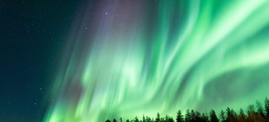 Rovaniemi: Guaranteed Aurora Hunting Tour with Local Guide - Price and Value: $159 with a Built-In Safety Net