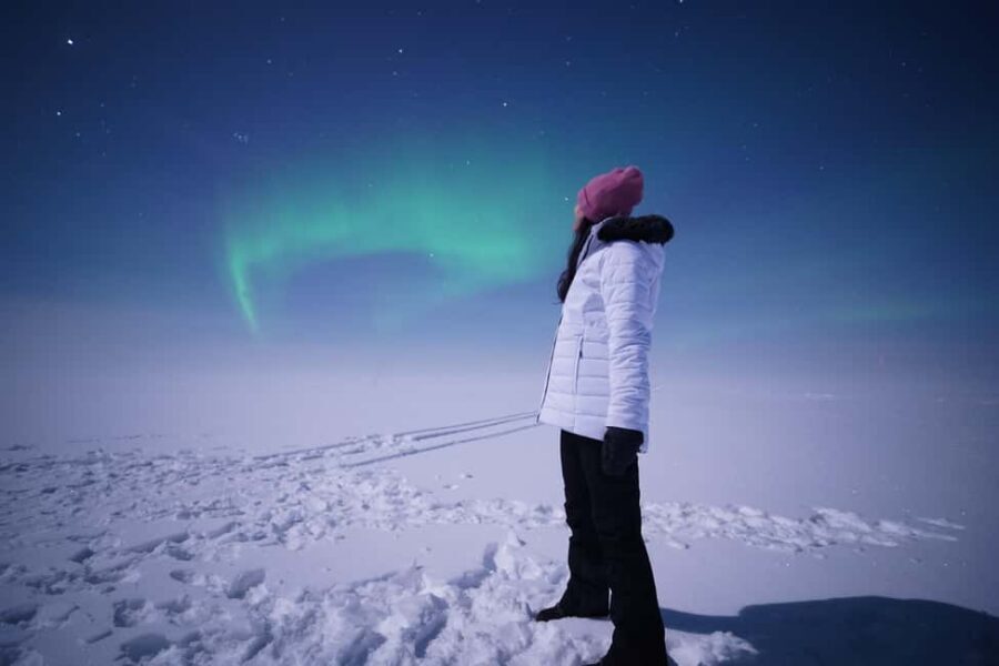Rovaniemi: Guaranteed Northern Lights Tour with Photos - Where you watch: remote spots, waiting games, and a campfire bonus