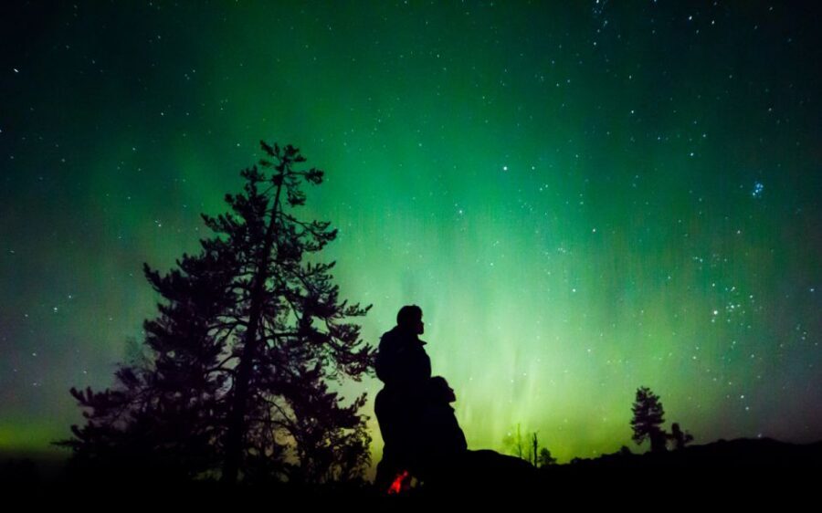 Rovaniemi: Guided Northern Lights Tour - Key points you’ll care about
