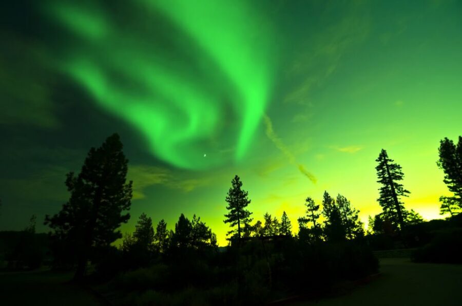 Rovaniemi: Guided Northern Lights Tour - The guide is the product: dedication and personality on aurora nights