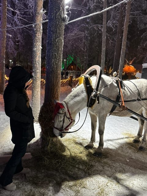 Rovaniemi: Guided Tour of Santa Claus Village - Guided intro and first photo-ready moments inside the village
