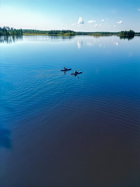 Rovaniemi: Guided Wilderness Kayaking Adventure - Price and Value: Is $117 Worth It?