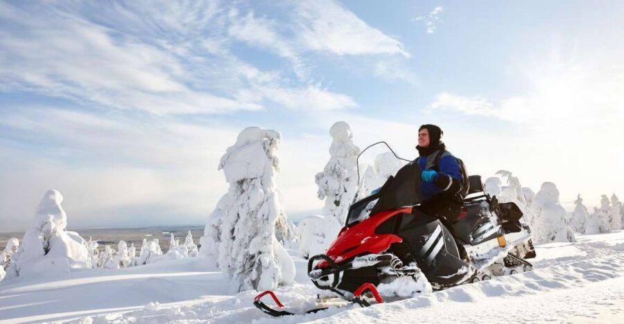 Rovaniemi: Guided Wilderness Snowmobile Ride - Key Things I’d Book This For