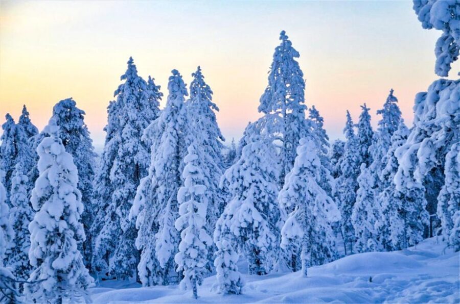Rovaniemi: Guided Wilderness Snowmobile Ride - Gear That Actually Matters: Thermal Suits, Boots, Gloves, Helmets, Balaclavas