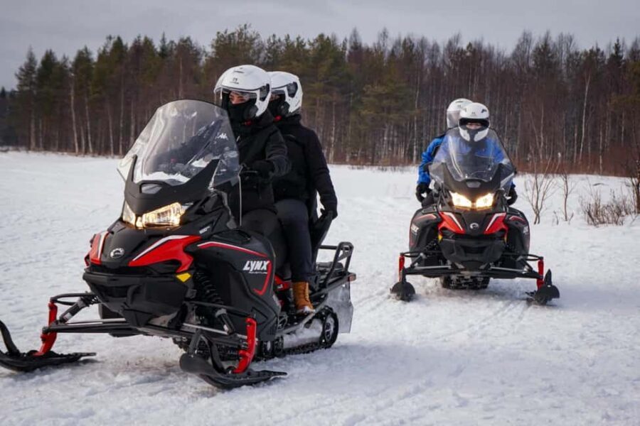 Rovaniemi: Guided Wilderness Snowmobile Safari & Barbeque - The fire-side BBQ: warm drinks and grilled sausages