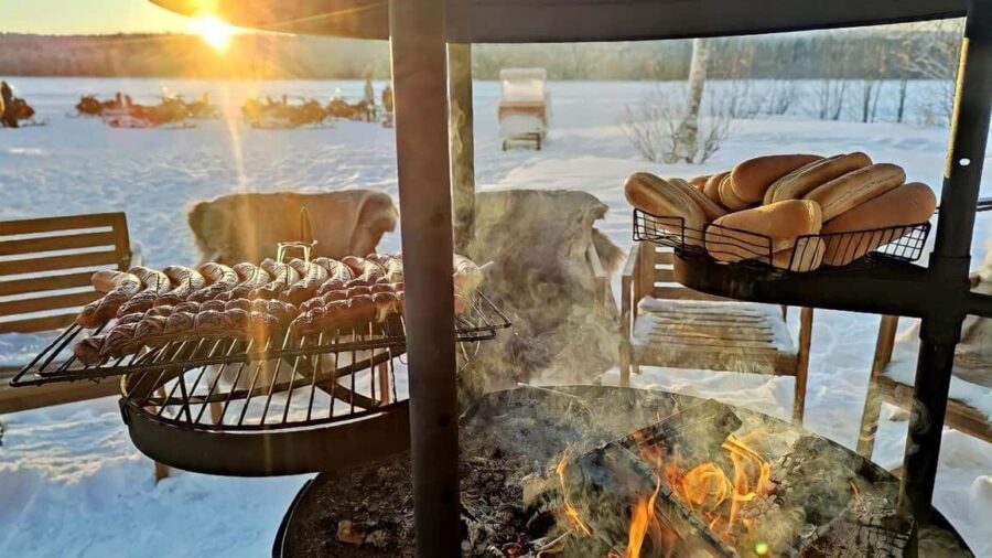 Rovaniemi: Guided Wilderness Snowmobile Safari & Barbeque - Winter timing: daytime magic vs nighttime practicality