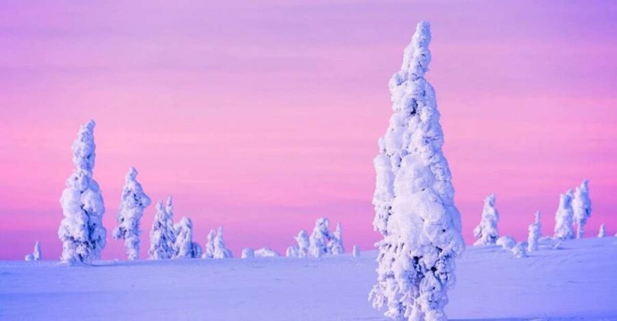 Rovaniemi: Half-Day Snowmobile & Ice Fishing Experience - The Lappish BBQ Moment: Warm Food After Real Winter Work