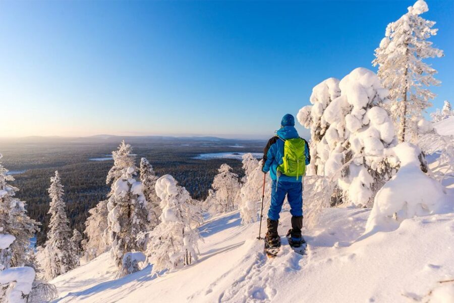 Rovaniemi: Hiking and Snowshoeing Adventure in Lapland - Key Things I’d Put on Your Checklist