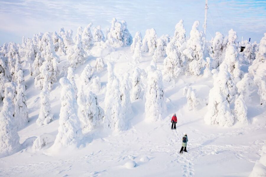 Rovaniemi: Hiking and Snowshoeing Adventure in Lapland - Rovaniemi in Winter: Why This Arctic Circle Hike Hits Different