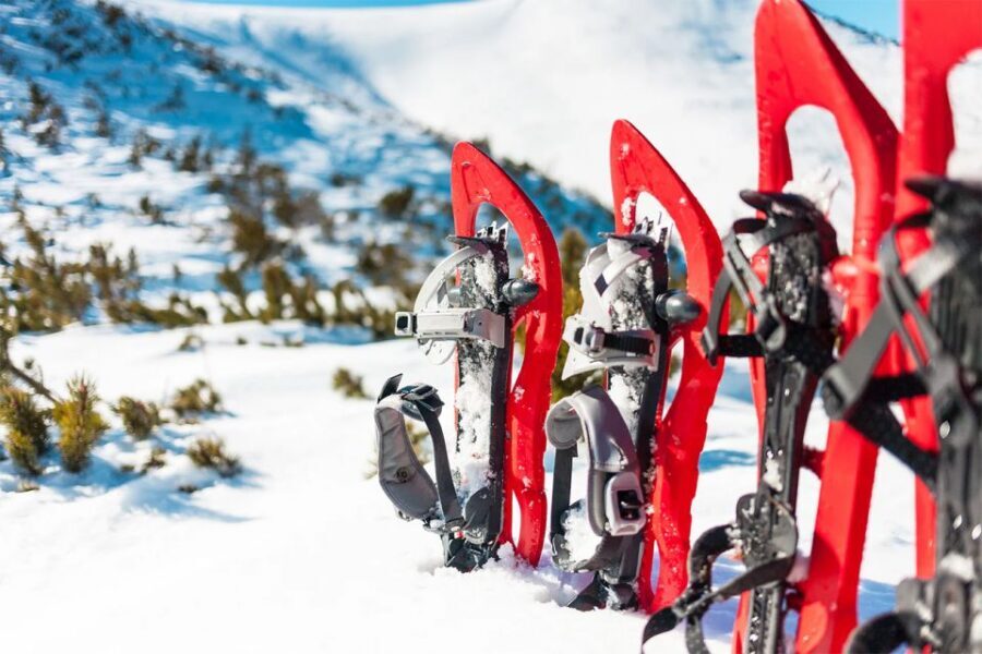 Rovaniemi: Hiking and Snowshoeing Adventure in Lapland - Learning Snowshoes: The Simple Skills That Make You Safer