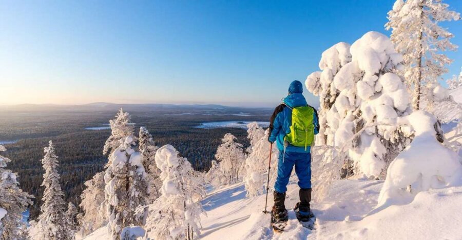 Rovaniemi: Hiking and Snowshoeing Adventure in Lapland - How Hard Is It: Pace, Uphills, and Beginner Comfort