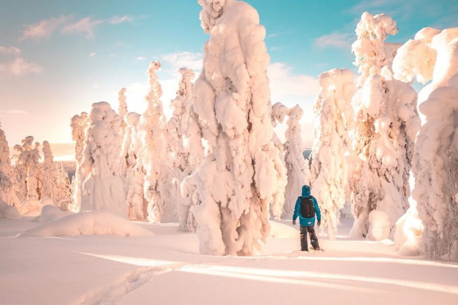 Rovaniemi: Hiking and Snowshoeing Adventure in Lapland - Who This Fits Best (and Who Might Want Another Option)