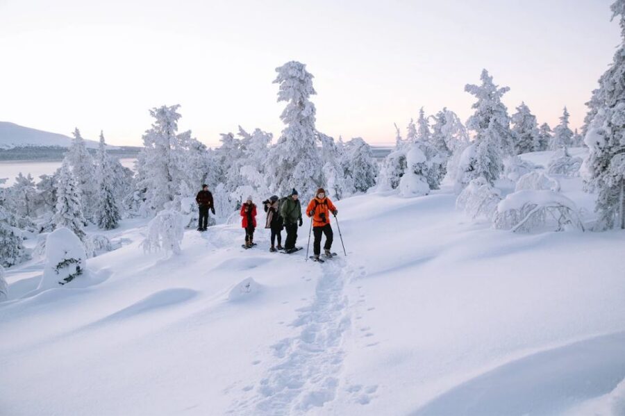Rovaniemi: Hiking and Snowshoeing Adventure in Lapland - Gear, Pickup, and Timing: What the 3 Hours Really Means