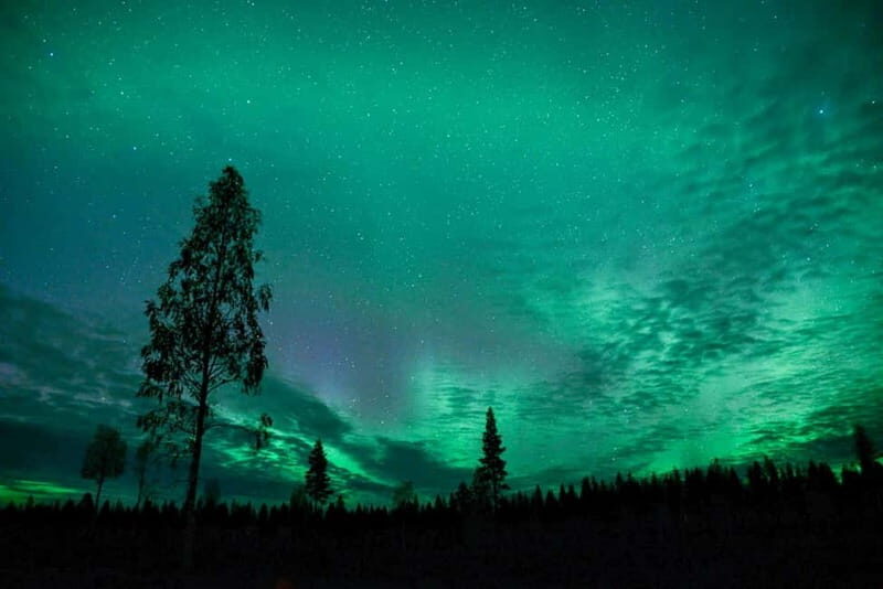 Rovaniemi: Horse Sleigh Ride under the Night Sky - Northern Lights Feel Different From a Horse Sleigh