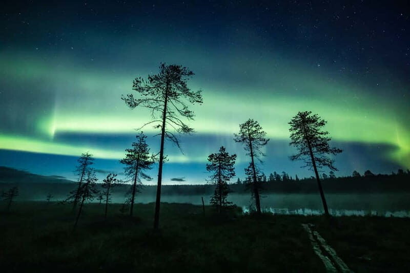 Rovaniemi: Horse Sleigh Ride under the Night Sky - How the Pickup Works in Rovaniemi: Two Convenient Starting Points