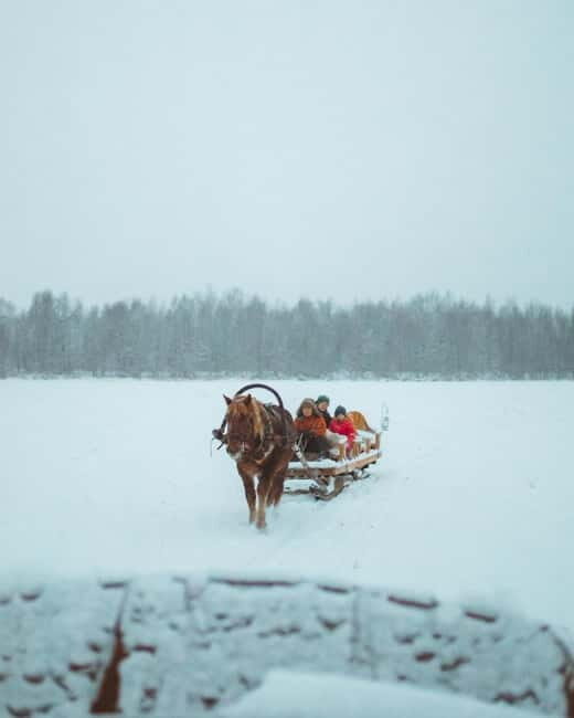 Rovaniemi: Horse Sleigh Ride under the Night Sky - Stop by Stop: From Pickup to Horses to the Bonfire