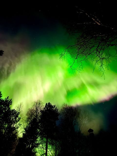 Rovaniemi Hunting Aurora at the Best Spots - Stop one: lakeside and forest edge with open sky viewing