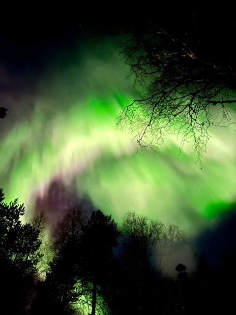 Rovaniemi Hunting Aurora at the Best Spots - Winter clothing: what’s included, what you must handle, and when