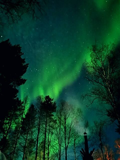 Rovaniemi Hunting Aurora at the Best Spots - Pickup and timing: a tight 3.5-hour night window
