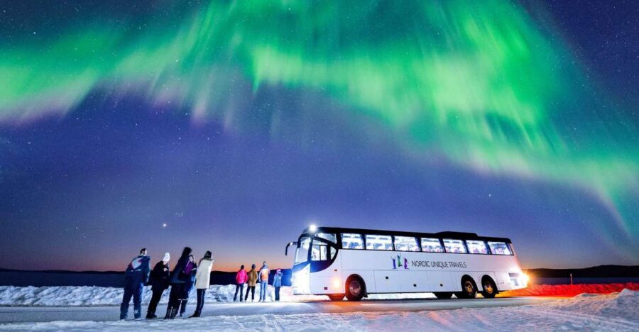 Rovaniemi: Hunting Northern Lights Bus Tour - The Guide Makes This Tour: Science First, Then Sky Watching