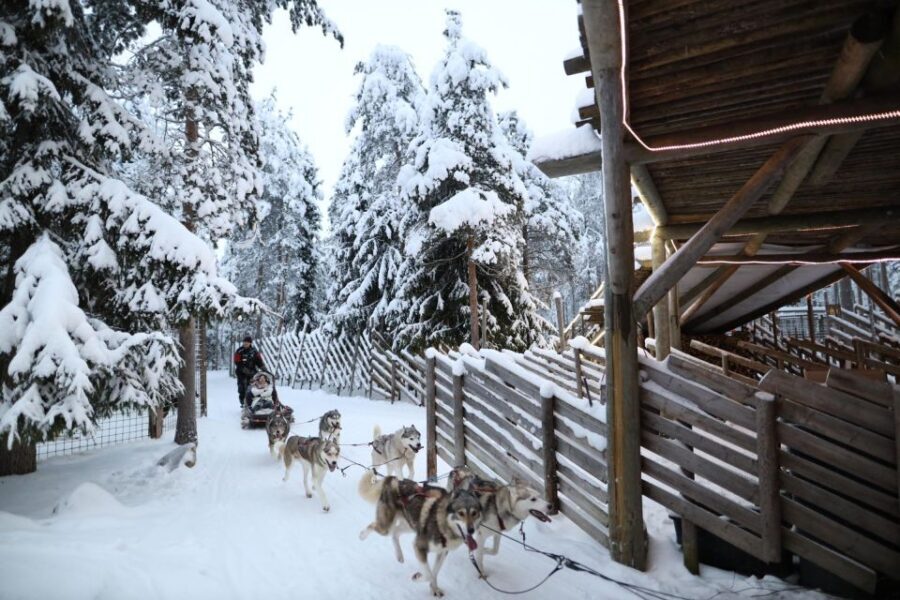 Rovaniemi: Husky and reindeer farm visit with sleigh rides - Getting From Rovaniemi City Center to the Arctic Parks