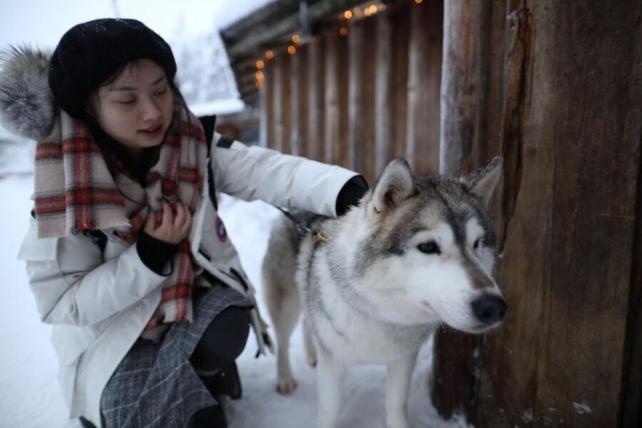 Rovaniemi: Husky and reindeer farm visit with sleigh rides - The 400 m Reindeer Ride and How These Farms Work