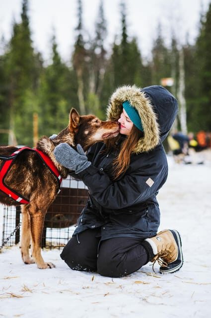Rovaniemi: Husky and Reindeer farm with sleigh ride - Reindeer Sled Ride Through Snow-Covered Forests and Open Fields