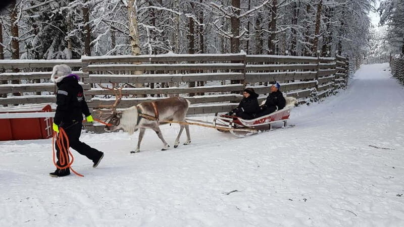 Rovaniemi: Husky Farm and Reindeer Experience - Who This Tour Fits (and Who Might Want a Different Day)