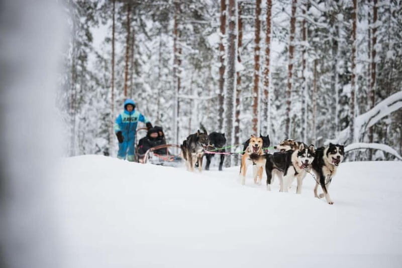 Rovaniemi: Husky Farm and Reindeer Experience - Getting There and Making the 4 Hours Work