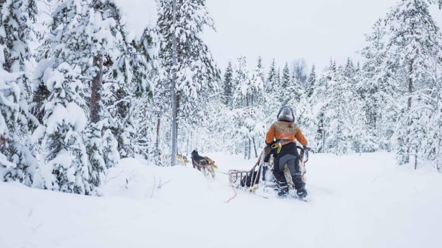 Rovaniemi: Husky Farm Visit with a Sledge Ride - Quick take