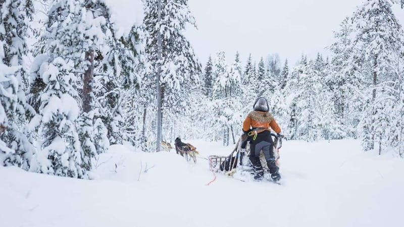 Rovaniemi: Husky & Reindeer Experience with Snowmobile Ride - Key Things I’d Mark on Your Must-Do List