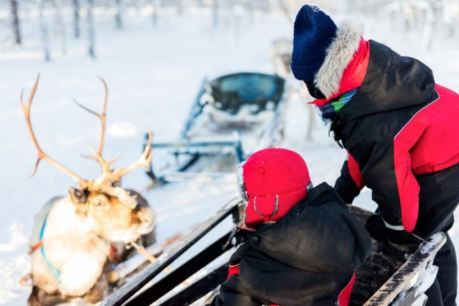Rovaniemi: Husky & Reindeer Experience with Snowmobile Ride - Husky Time: the 500-meter Alaskan husky sleigh ride