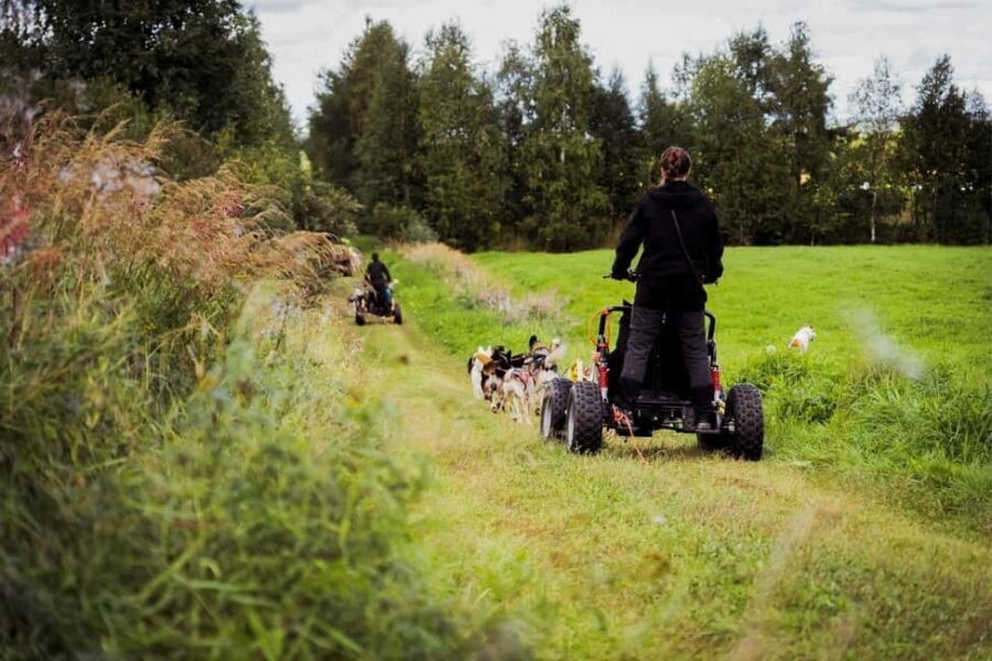 Rovaniemi: Husky Safari & Campfire BBQ – 6‑10 km Self‑Drive - Campfire BBQ: the warm finish that makes the day feel complete