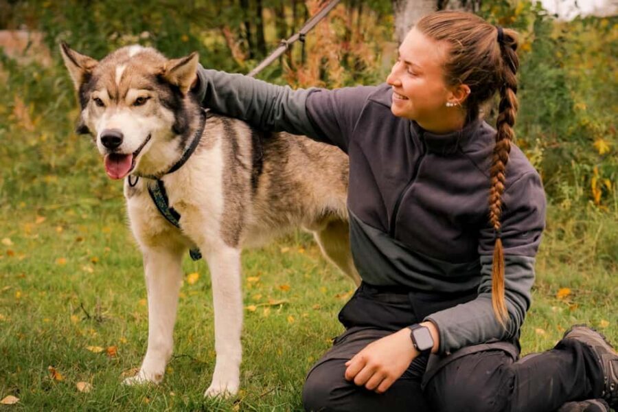 Rovaniemi: Husky Safari & Campfire BBQ – 6‑10 km Self‑Drive - Price and value: is $249 per person worth it?