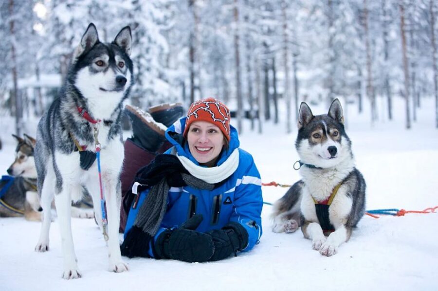 Rovaniemi: Husky Safari on a Snowy Trail - Your Husky Farm Visit: Training, Racing, and Retirement Talks