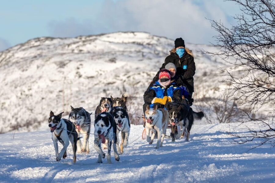 Rovaniemi: Husky Sled Ride and Farm Visit - Should You Book This Rovaniemi Husky Sled Ride and Farm Visit?