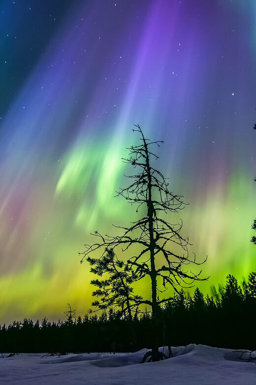 Rovaniemi: Ice Floating in Forest Lake with Aurora Borealis - How the Tour Runs in Real Life (2.5 Hours, Hotel Pickup Included)