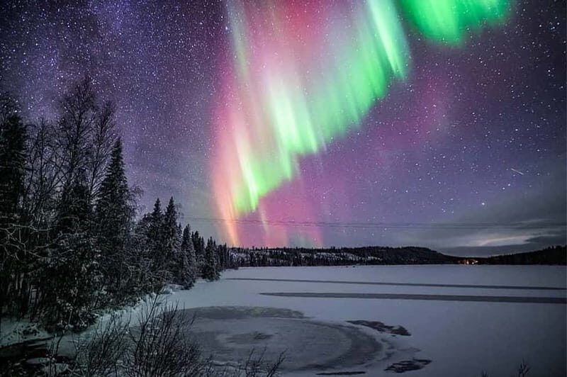 Rovaniemi: Ice Floating in Forest Lake with Aurora Borealis - Guides Matter More Than You Think