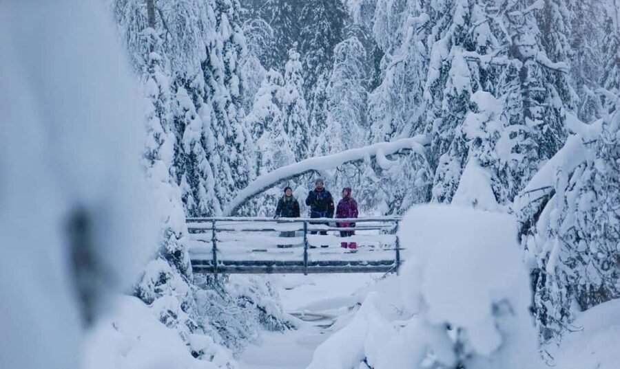 Rovaniemi: Korouoma Canyon and Frozen Waterfalls Tour - Timing and meeting points: the small detail that prevents big annoyances