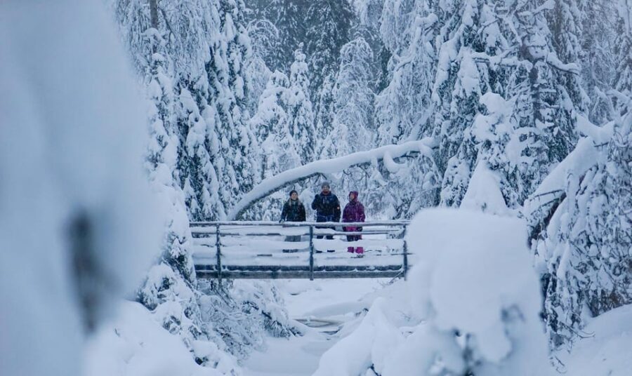 Rovaniemi: Korouoma Canyon Frozen Waterfalls Guided Hike - Inclusions That Actually Matter: Guide, Snacks, Hot Drinks