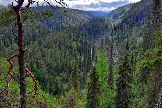 Rovaniemi Korouoma Canyon Hike and Barbecue Experience - Key highlights worth knowing