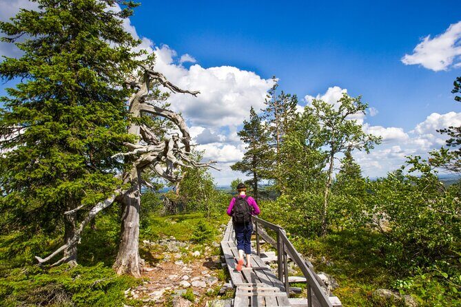 Rovaniemi Korouoma Canyon Hike and Barbecue Experience - The hike itself: 4–6 km on winter trails, with moderate fitness in mind