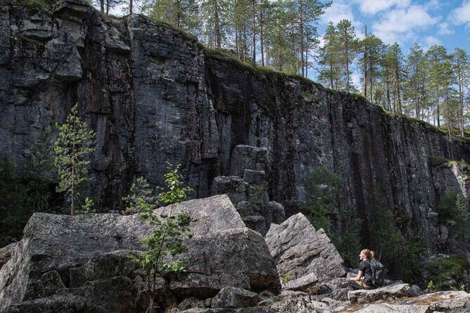 Rovaniemi Korouoma Canyon Hike and Barbecue Experience - Frozen forests, canyon views, and the wildlife reality