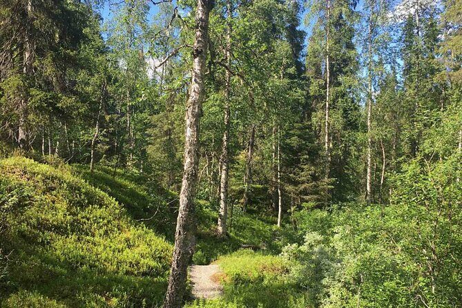 Rovaniemi Korouoma Canyon Hike and Barbecue Experience - Pickup, timing, and group size: why your morning won’t feel chaotic