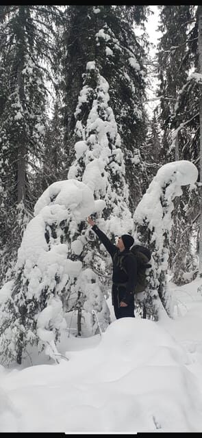 Rovaniemi: Korouoma Frozen Waterfalls Hike & Hot BBQ Lunch - Where Korouoma is, and why the drive matters